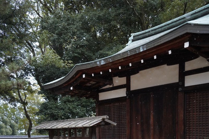 Kyoto - Ninnaji Temple - SA701551.editted