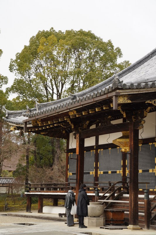 Kyoto - Ninnaji Temple - SA701570.ok