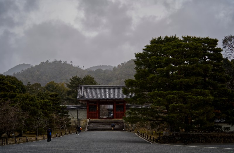 Kyoto - Ninnaji Temple - SA701579.editted