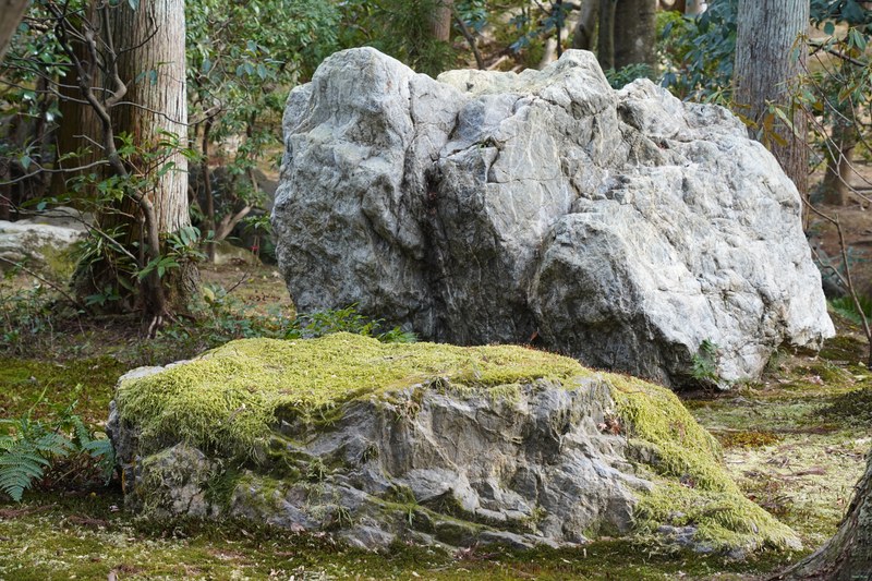 Kyoto - Ryoan-ji Temple - SA701420