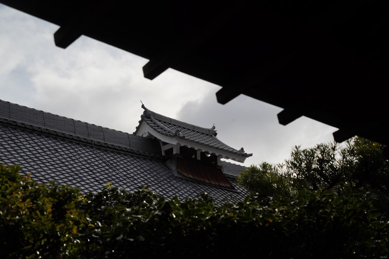 Kyoto - Ryoan-ji Temple - SA701445