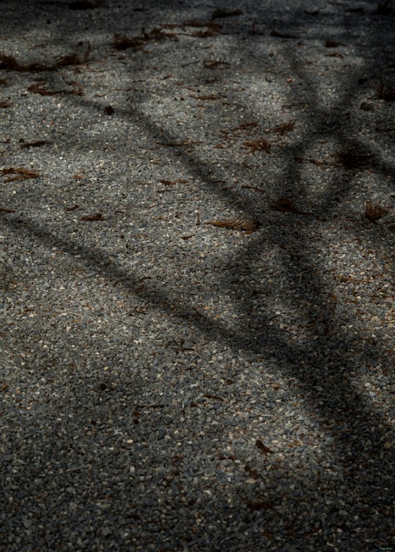 Kyoto - Ryoan-ji Temple - SA701460.editted
