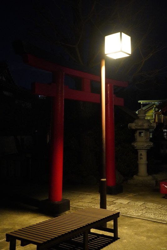 Tokyo - Ishihama Shrine By Night - SA700295.nice