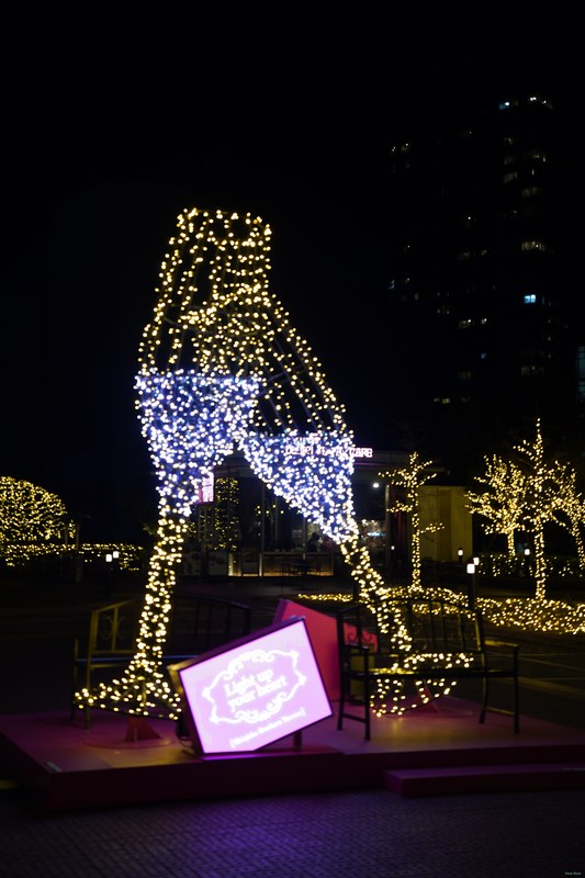 Nite-lites - SA709804.ok