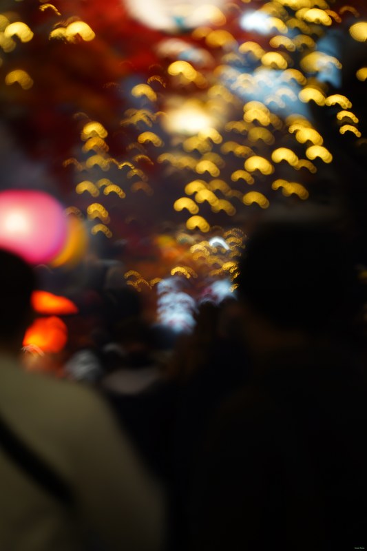 Nite-lites - SA709815.ok