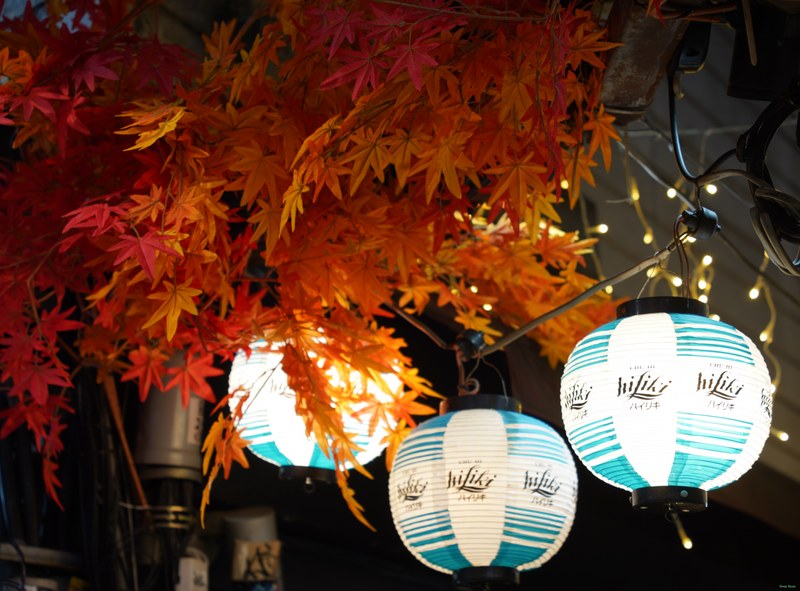 Nite-lites - SA709820.ok.editted