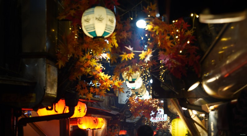 Nite-lites - SA709829.ok.editted