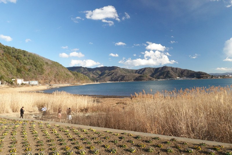 Views Of Mount Fuji By Day - RX100333.nice