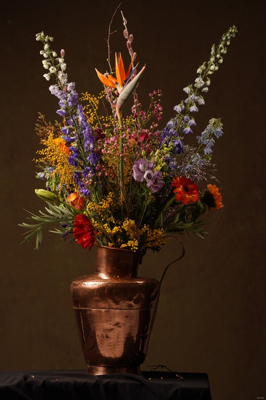 2026-02 - Still Life Workshop Den Haag - SA701860.ok.plain