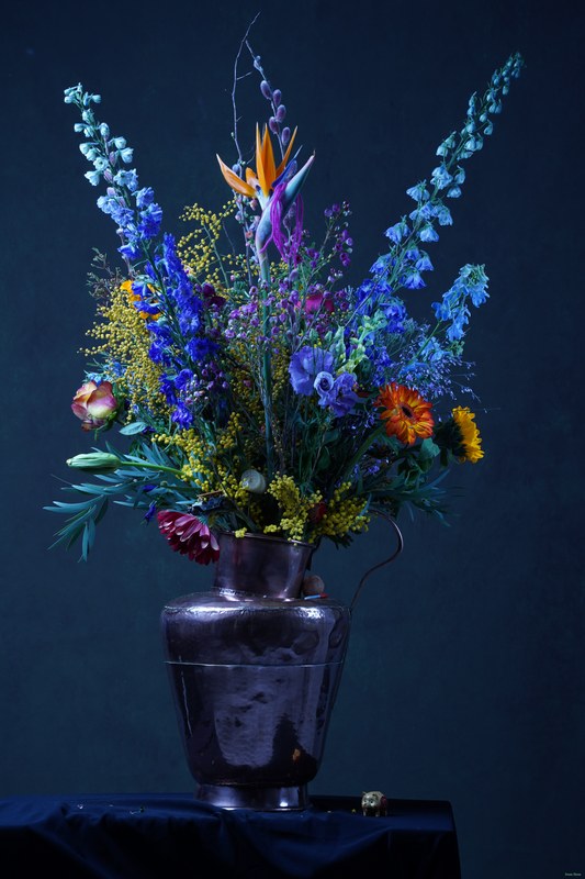 2026-02 - Still Life Workshop Den Haag - SA701880.ok.blue-wb