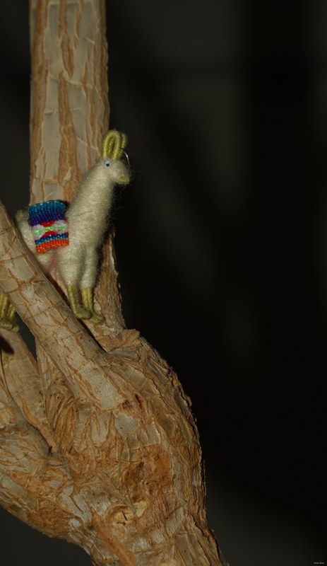 2026-02 - Still Life Workshop Den Haag - SA701907.ok.cropped