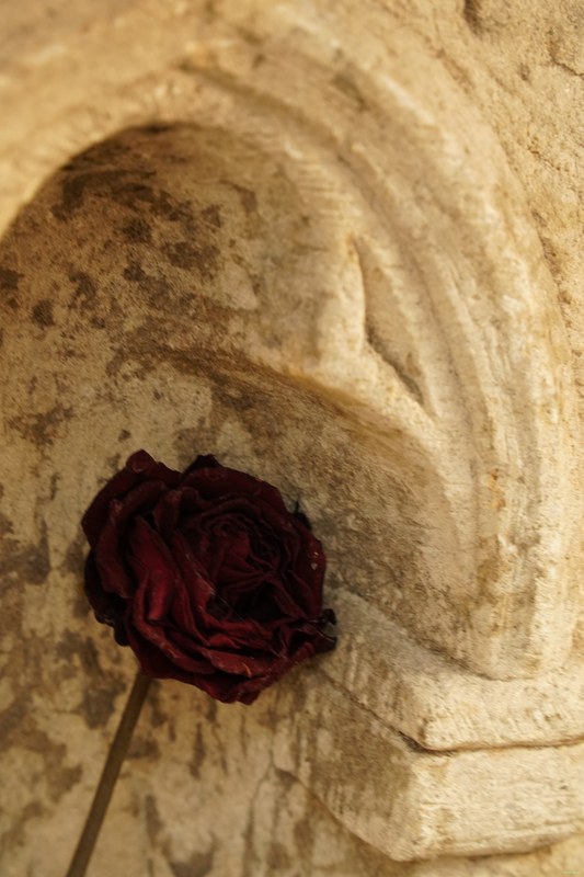 2026-02 - Still Life Workshop Den Haag - SA701936.ok