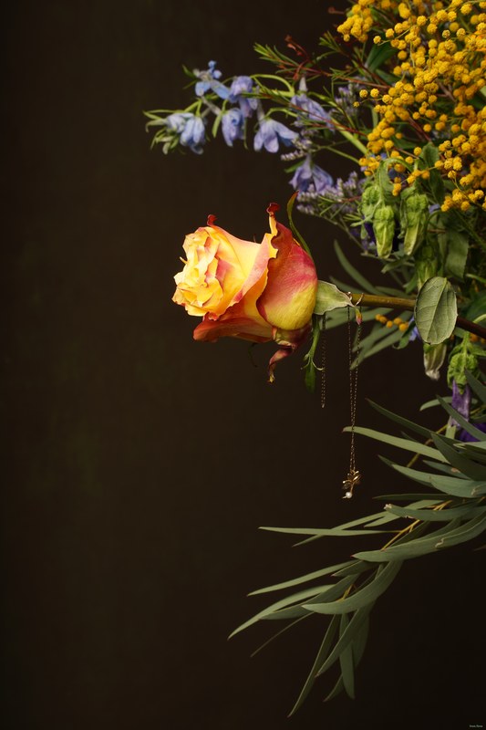 2026-02 - Still Life Workshop Den Haag - SA701971.ok