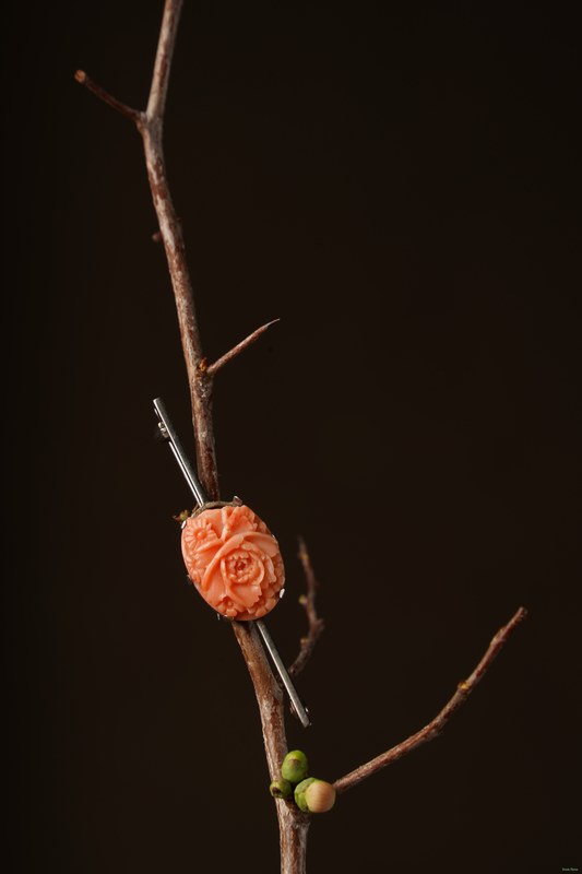 2026-02 - Still Life Workshop Den Haag - SA701973.ok