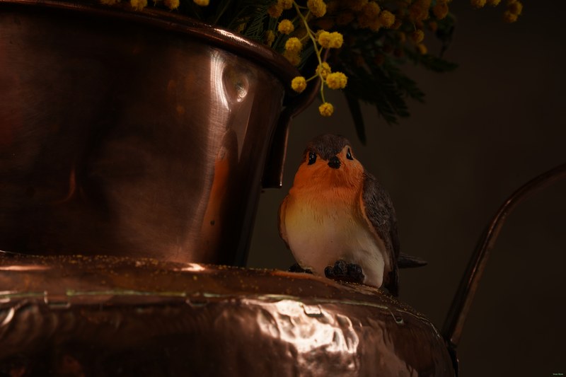 2026-02 - Still Life Workshop Den Haag - SA701977.nice