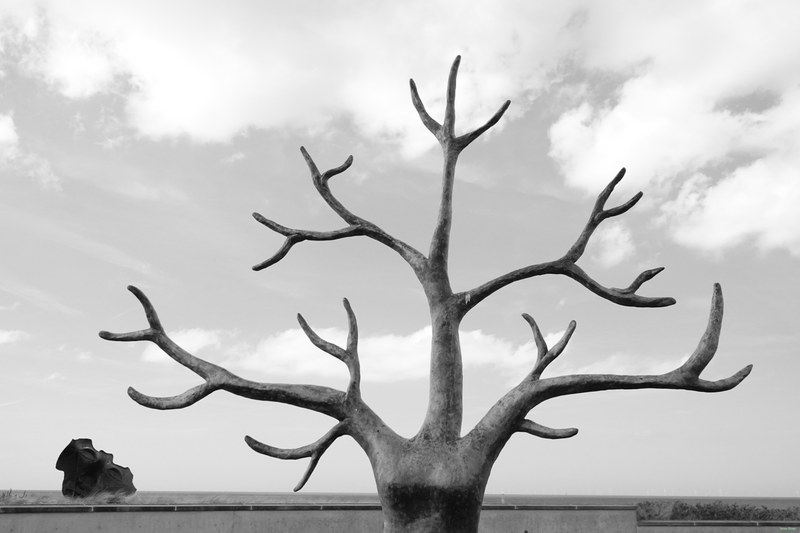 2026-04 - Magali Reus And More At Beelden Aan Zee - RX100404