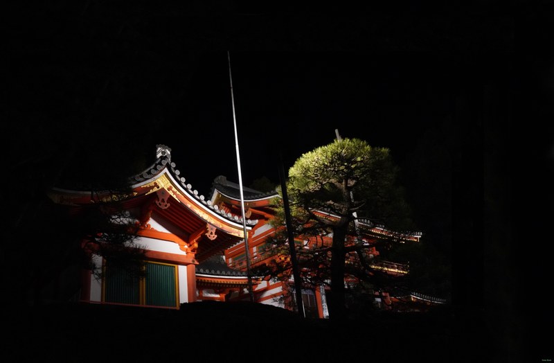 Shinto temple with tree