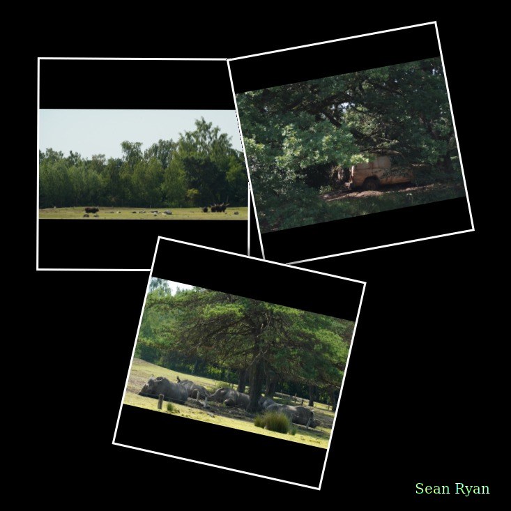 Beekse Bergen Safari