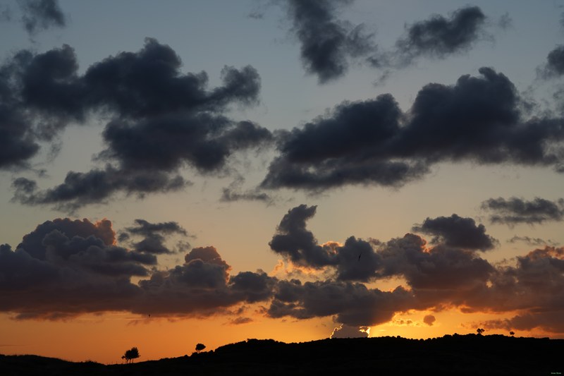 2026-06 - Texel Sunrise - SA704135.ok