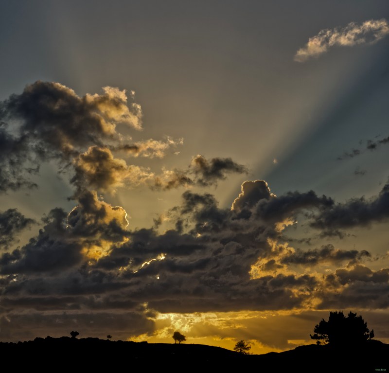 2026-06 - Texel Sunrise - SA704158.editted