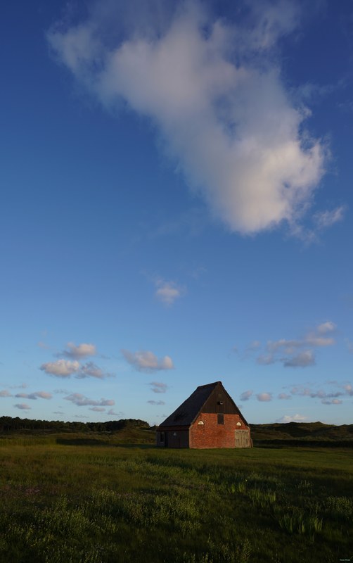 2026-06 - Texel Sunrise - SA704165.editted