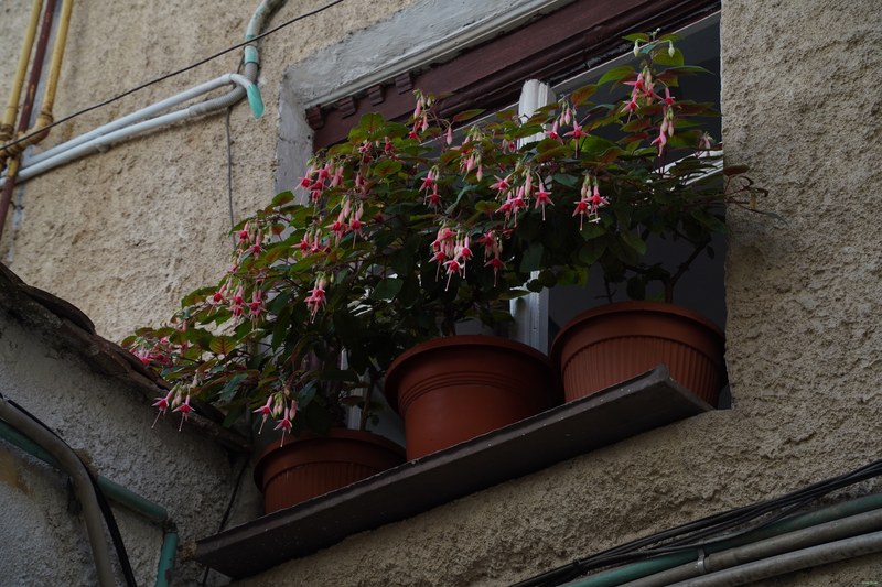 Brasov Old Town - SA709071.ok