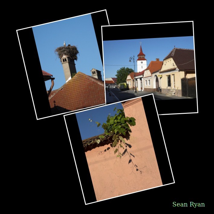 Zărnești Village - Every Day Photos