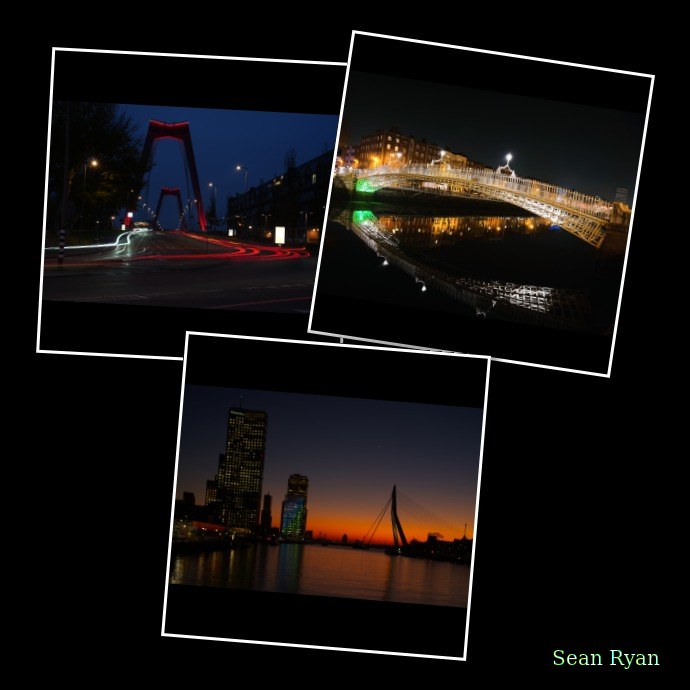 2023 - Poty Top 5 - Every Day Photos