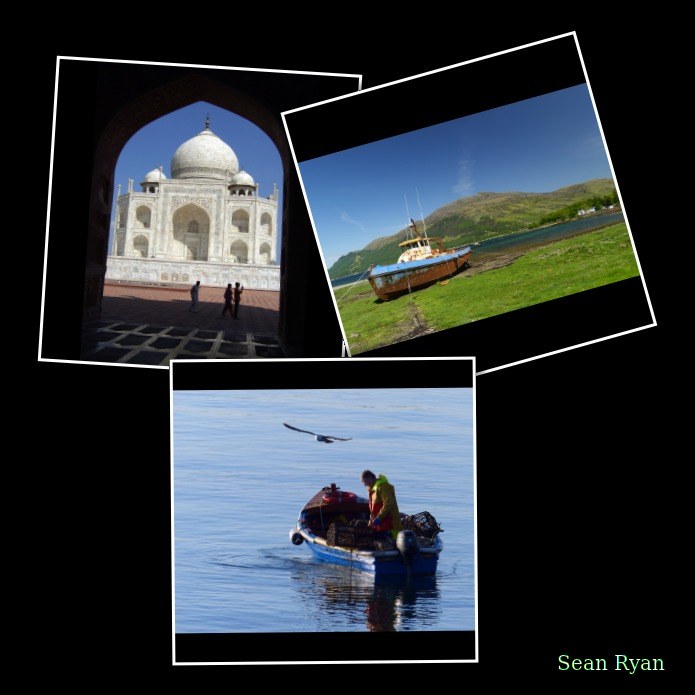 2024 - Poty Top 5 - Every Day Photos