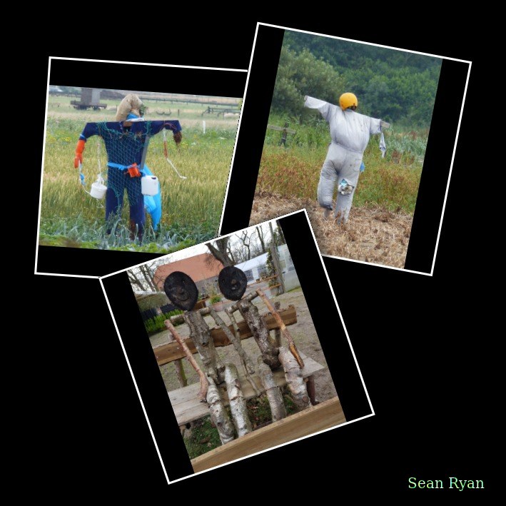 Puppets And Scarecrows Of Texel